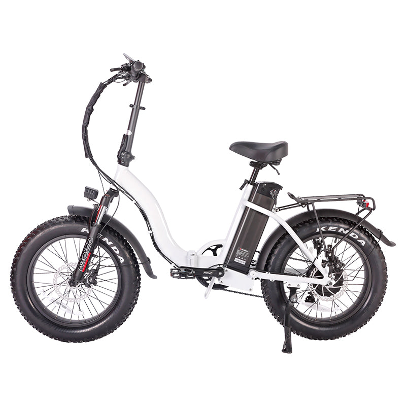 B09A Fat Tire Electric Bike 750W Motor 48V 15Ah Battery