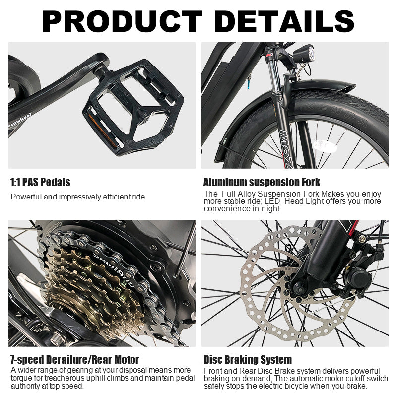 B31A Fat Tire Electric Bike 750W Motor 48V 15.6Ah Battery