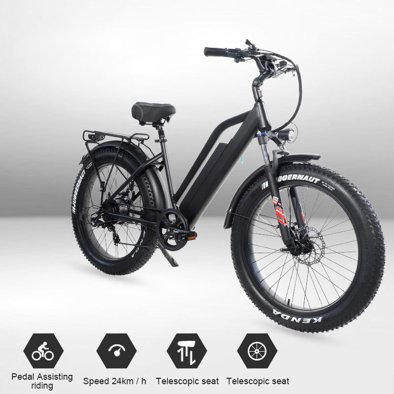 B31A Fat Tire Electric Bike 750W Motor 48V 15.6Ah Battery