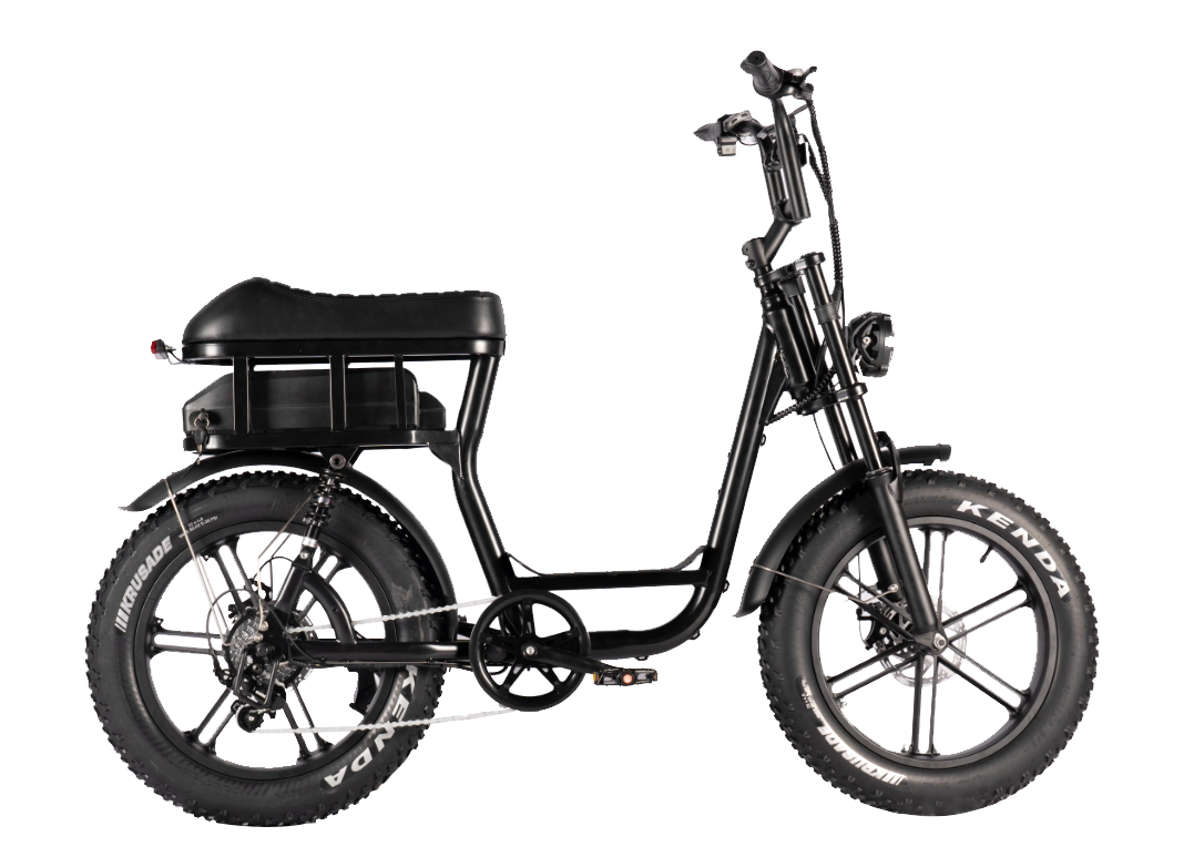 C20 Fat Tire Electric Bike 1000W motor 48V 15.6AH battery