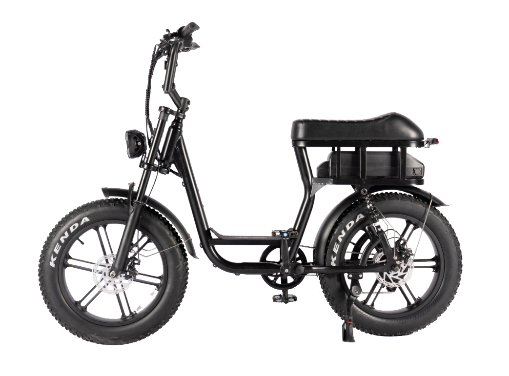 C20 Fat Tire Electric Bike 1000W motor 48V 15.6AH battery