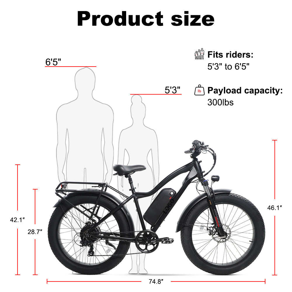 B28D Fat Tire Electric Bike 750W Motor 48V 15.6Ah Battery