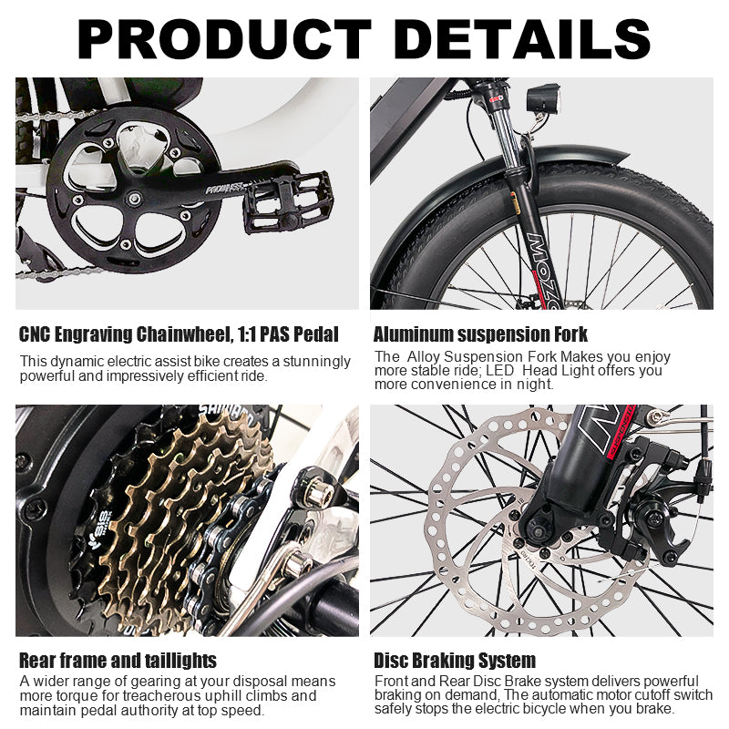B40 Fat Tire Electric Bike 750W Motor 48V 15Ah Battery