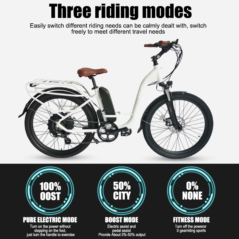 B40 Fat Tire Electric Bike 750W Motor 48V 15Ah Battery