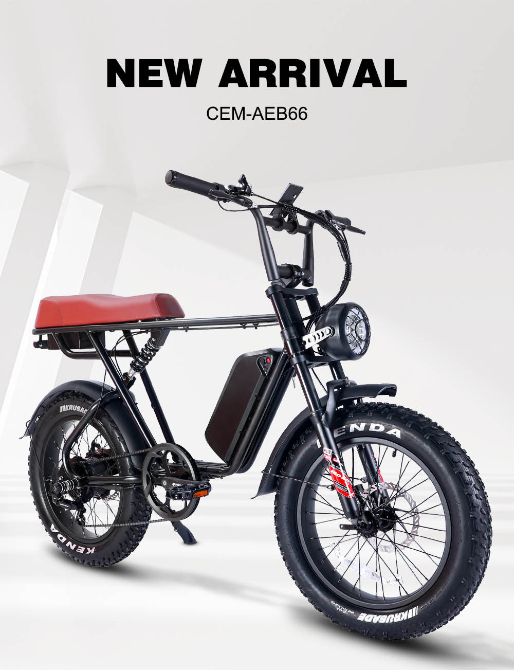 B66 Fat Tire Electric Bike 750W Motor 48V 15Ah Battery
