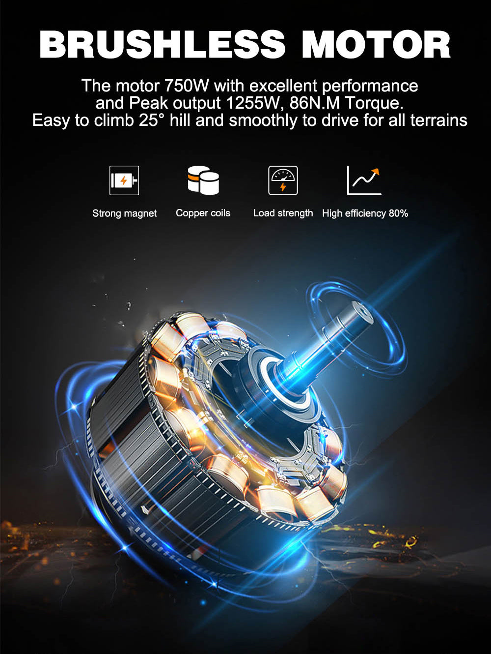 B66 Fat Tire Electric Bike 750W Motor 48V 15Ah Battery