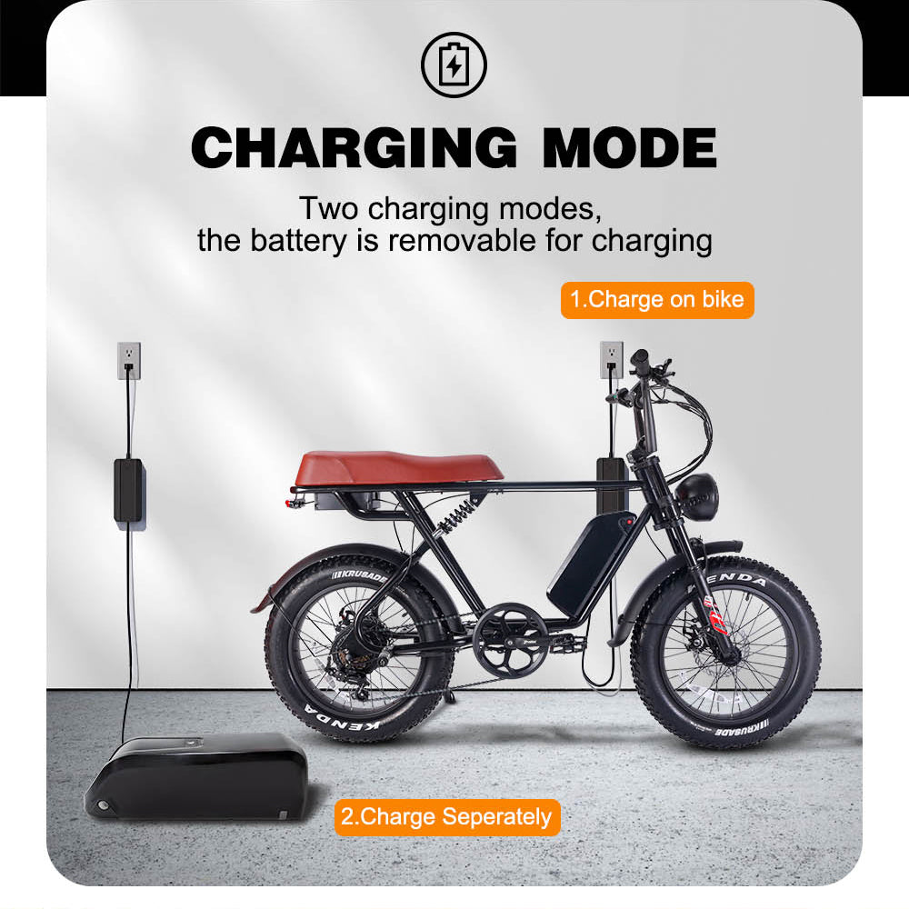 B66 Fat Tire Electric Bike 750W Motor 48V 15Ah Battery
