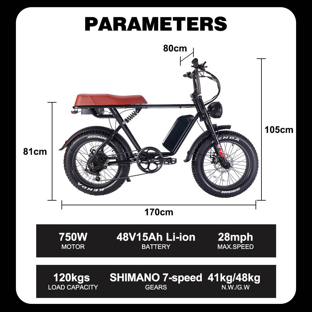 B66 Fat Tire Electric Bike 750W Motor 48V 15Ah Battery