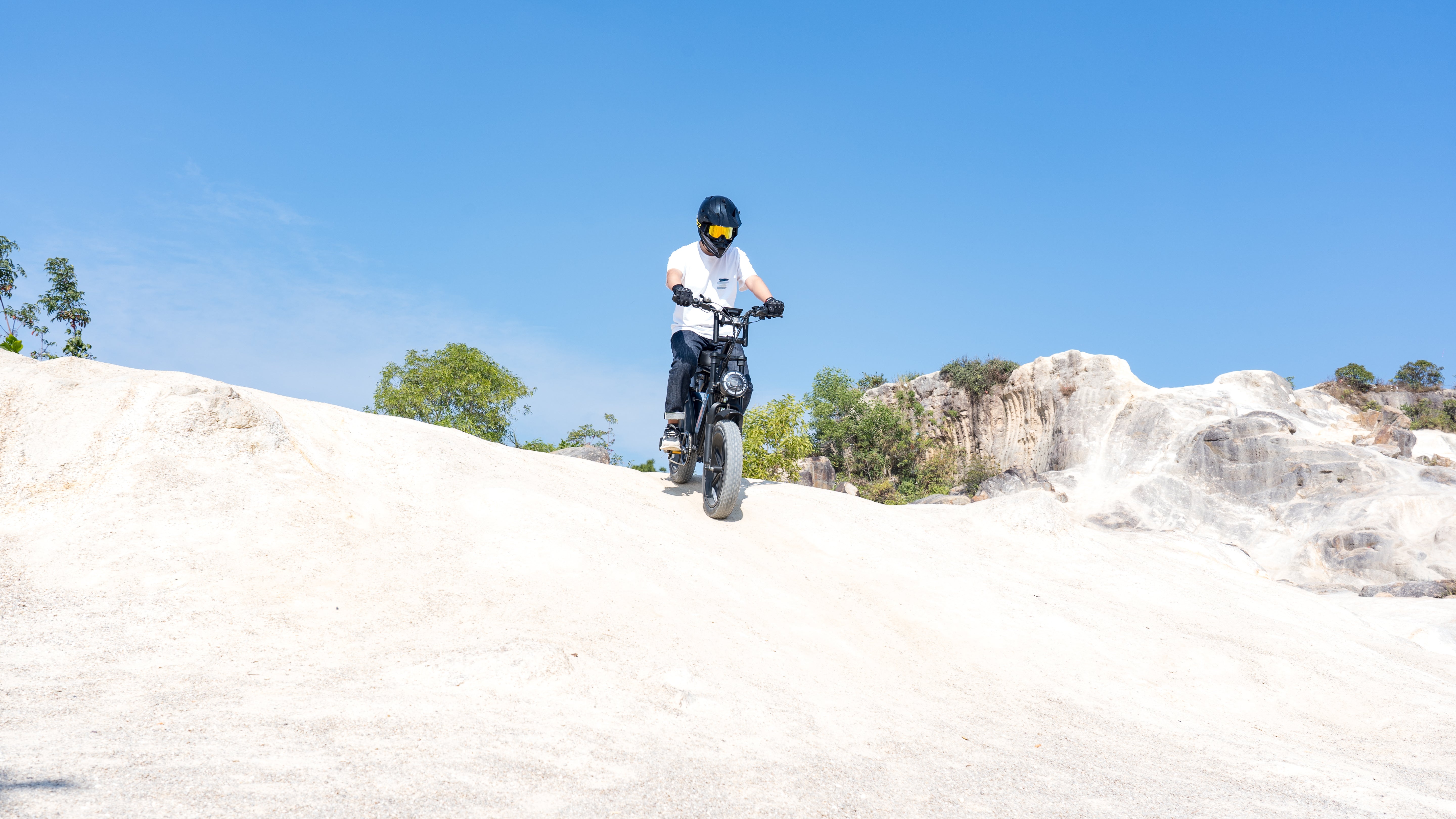 V29 PRO Fat Tire Electric Bike 1500W motor 48V 15.6AH*2 battery