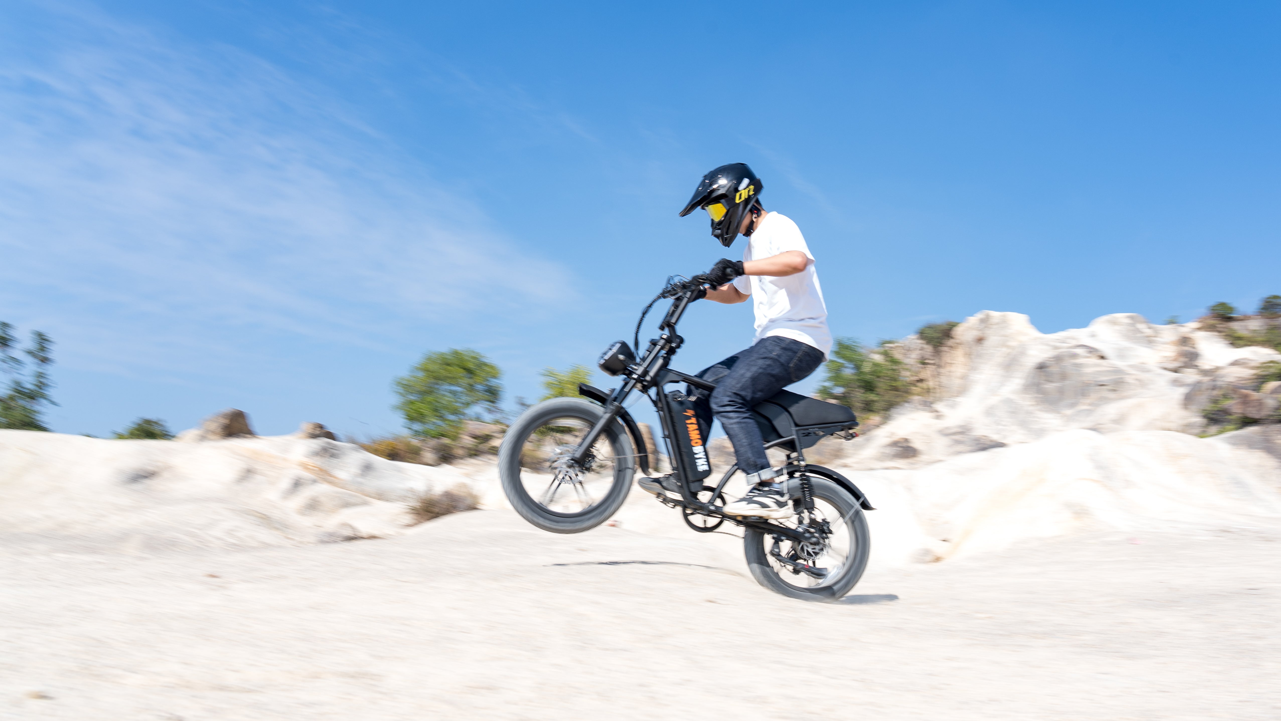 V29 PRO Fat Tire Electric Bike 1500W motor 48V 15.6AH*2 battery