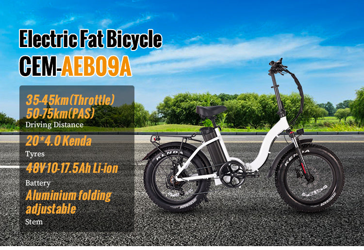 B09A Fat Tire Electric Bike 750W Motor 48V 15Ah Battery