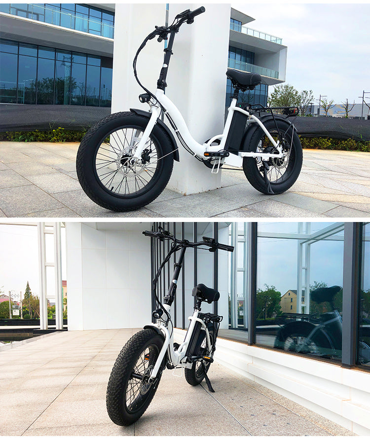 B09A Fat Tire Electric Bike 750W Motor 48V 15Ah Battery
