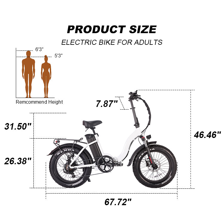 B09A Fat Tire Electric Bike 750W Motor 48V 15Ah Battery