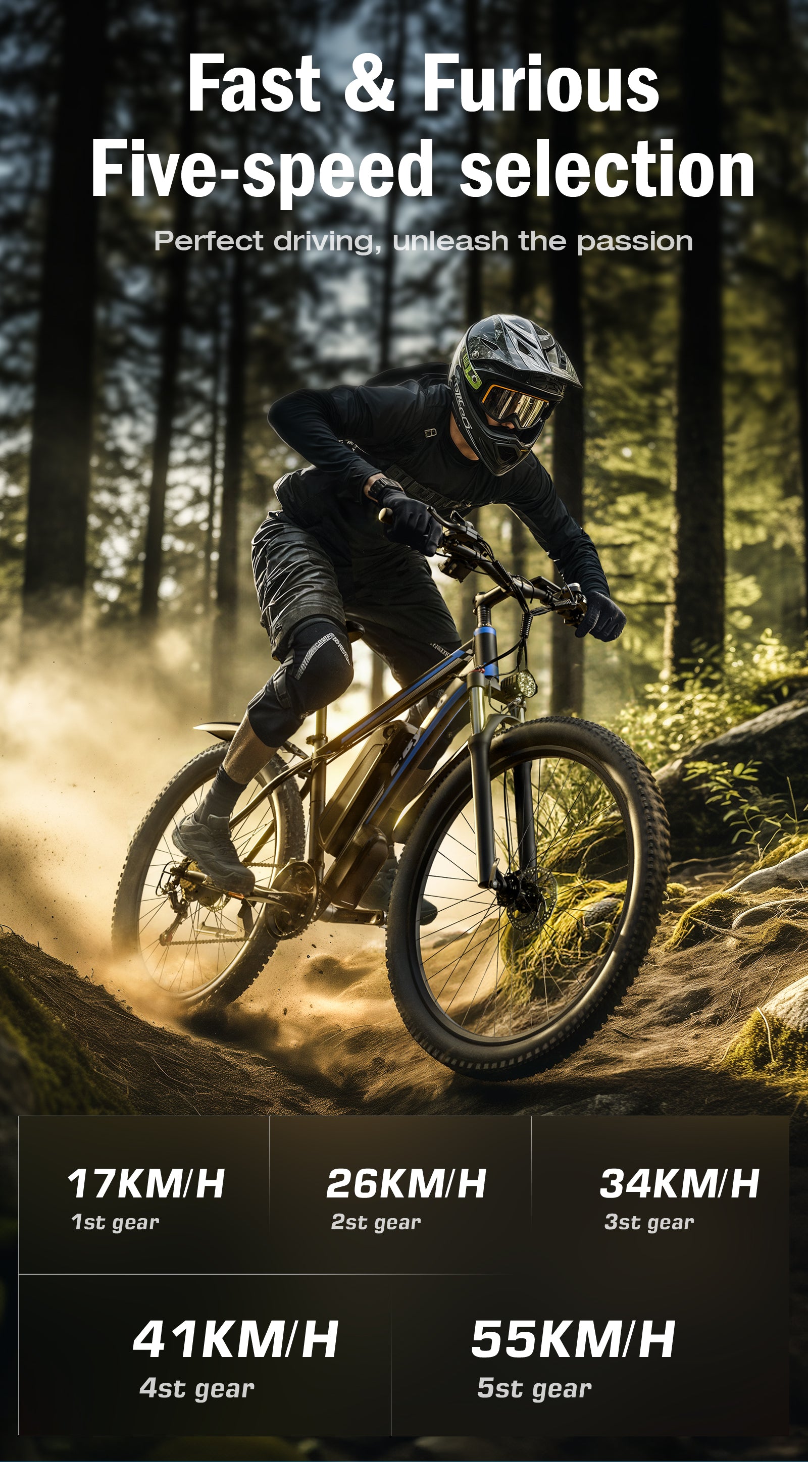 E8 Electric Mountain Bike