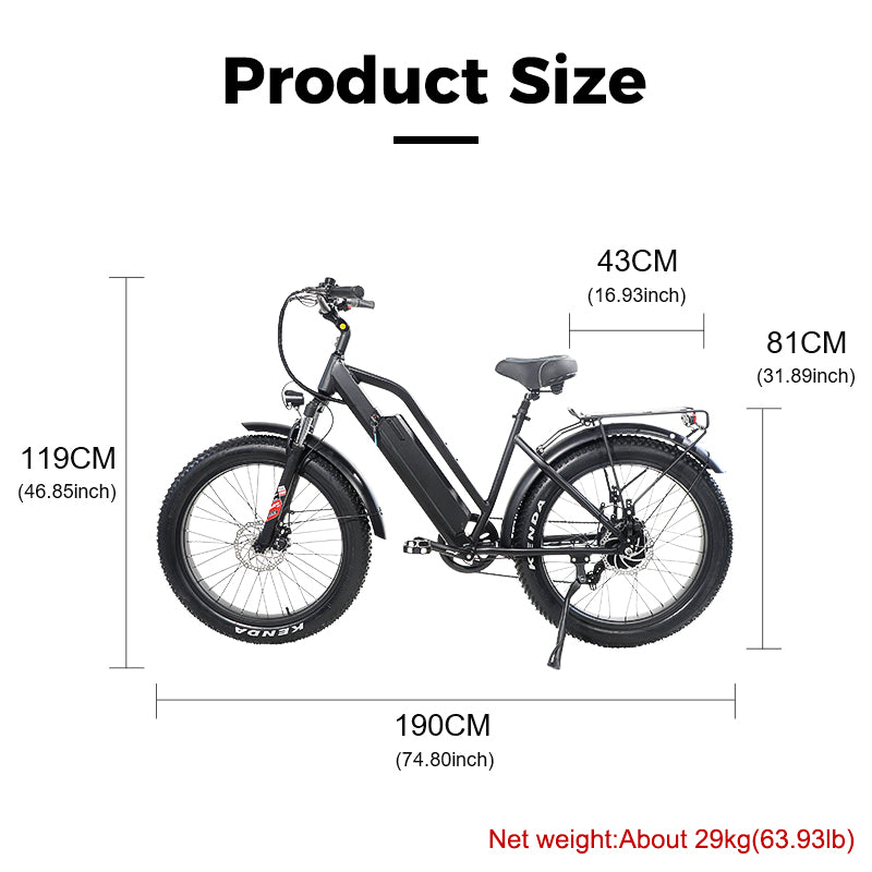 B31A Fat Tire Electric Bike 750W Motor 48V 15.6Ah Battery