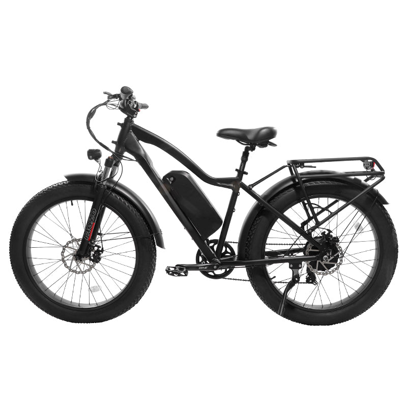 B28D Fat Tire Electric Bike 750W Motor 48V 15.6Ah Battery