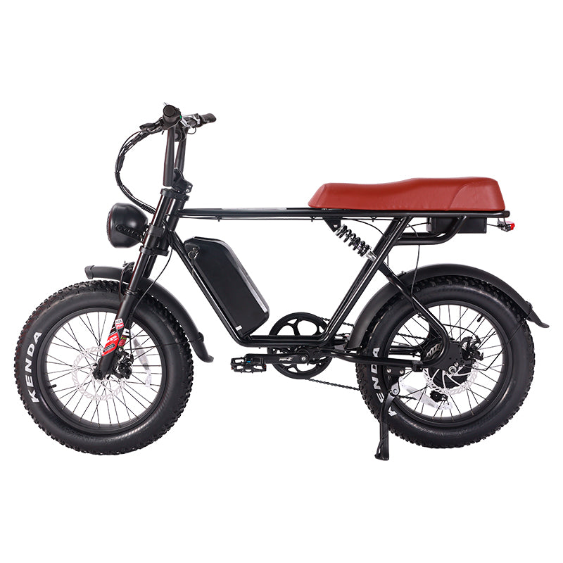 B66 Fat Tire Electric Bike 750W Motor 48V 15Ah Battery