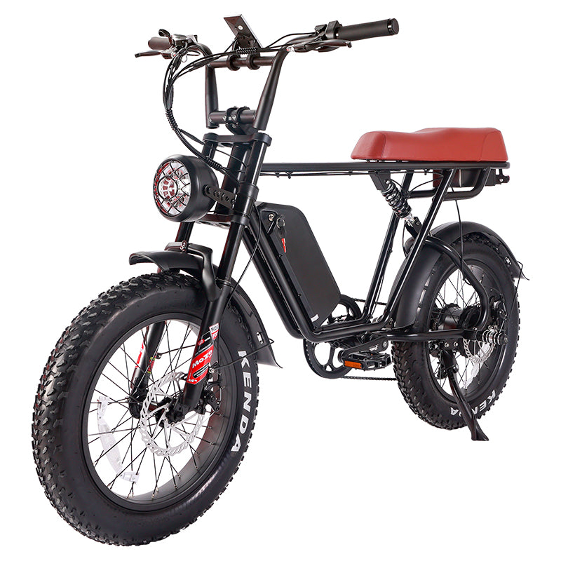B66 Fat Tire Electric Bike 750W Motor 48V 15Ah Battery