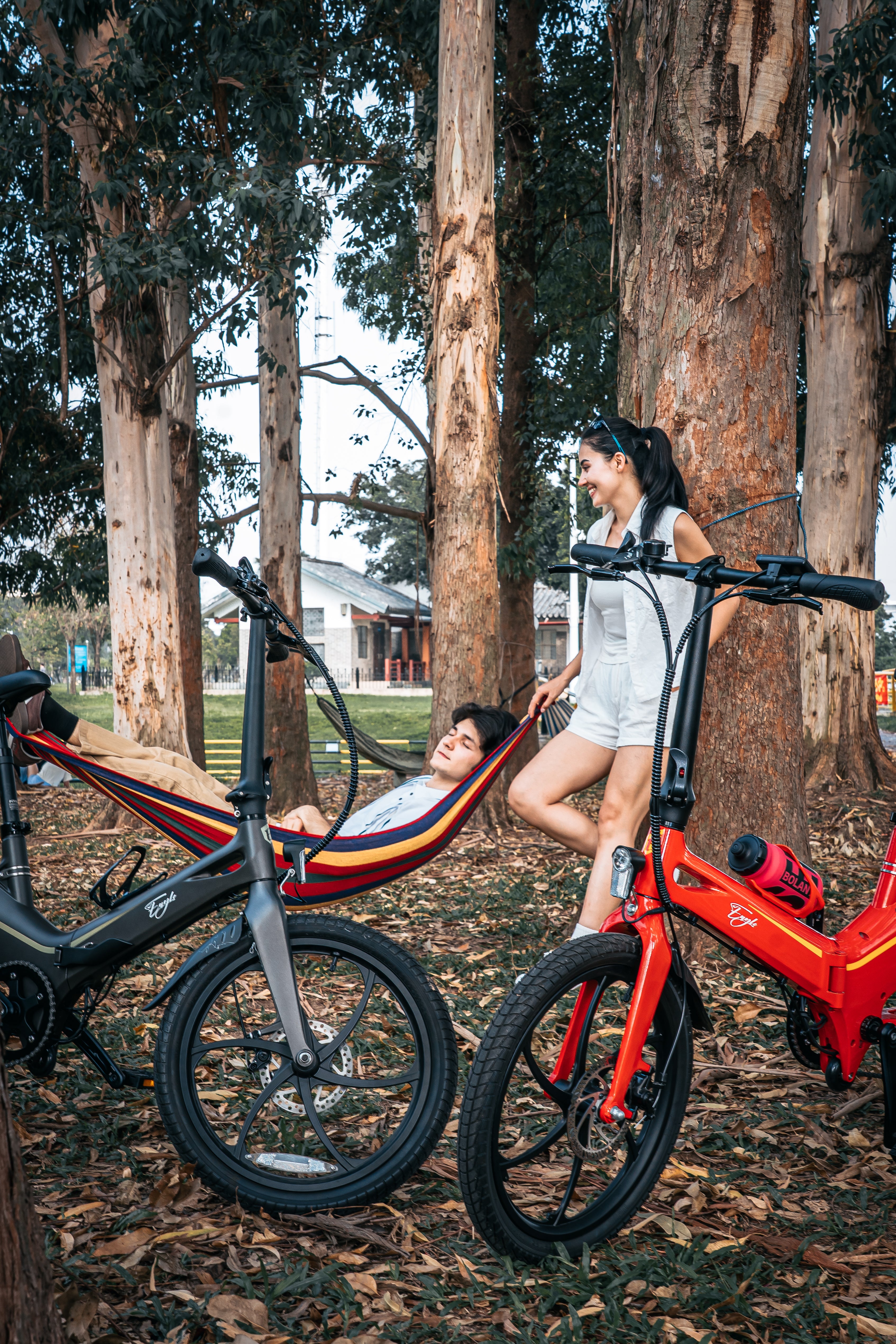 ONEBOT-Eagle folding Electric Bicycle ﻿