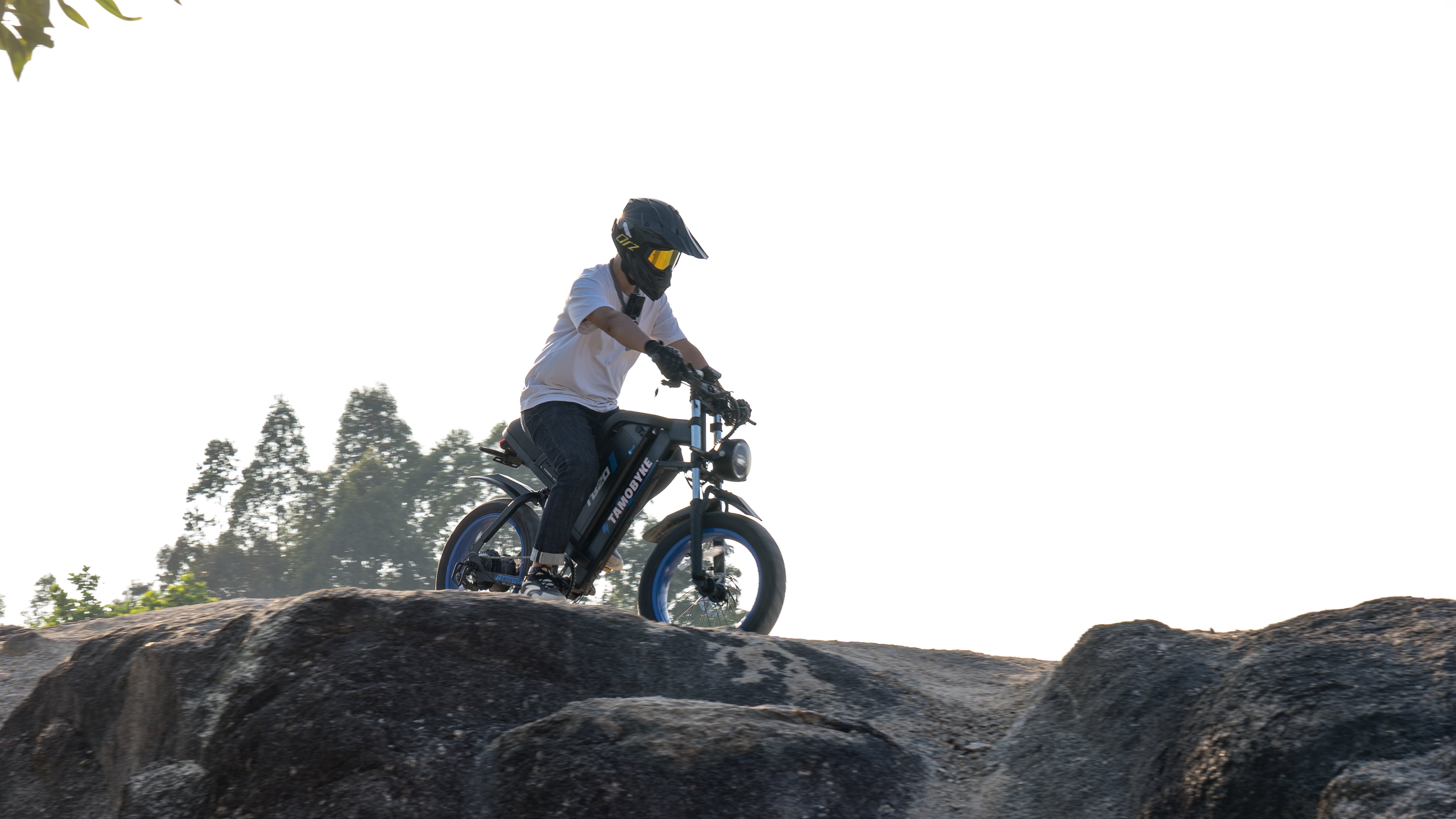 TB20 Fat Tire Electric Bike 2000W motor 48V 26AH battery Instrument with APP & NFC