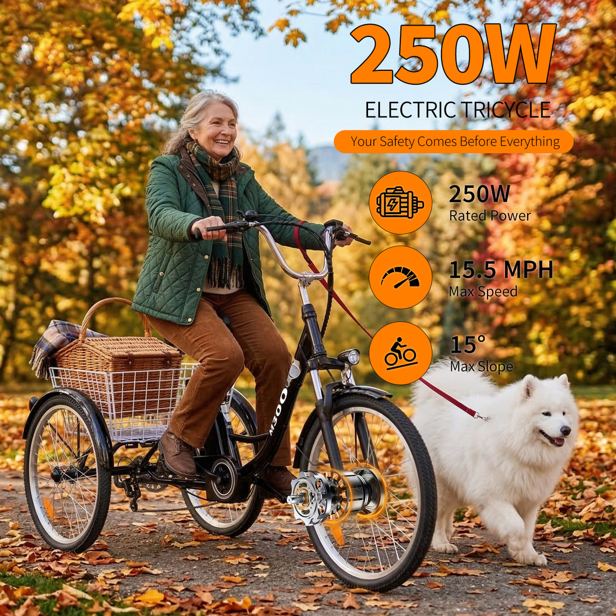 M300 — Electric Tricycle (with transmission)